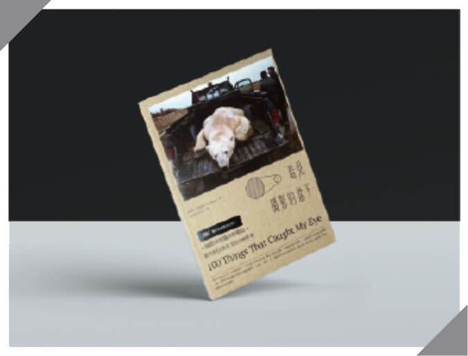 Chris Packham 國際得獎攝影師觀點