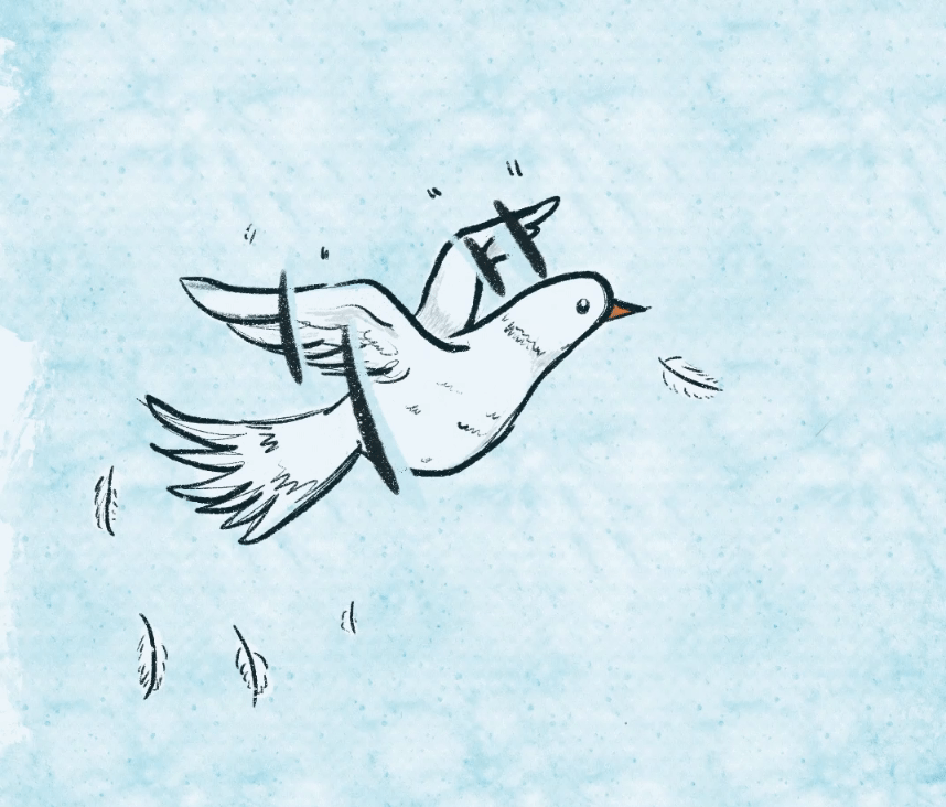 飛翔的鳥GIF