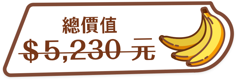 總價值5,230元