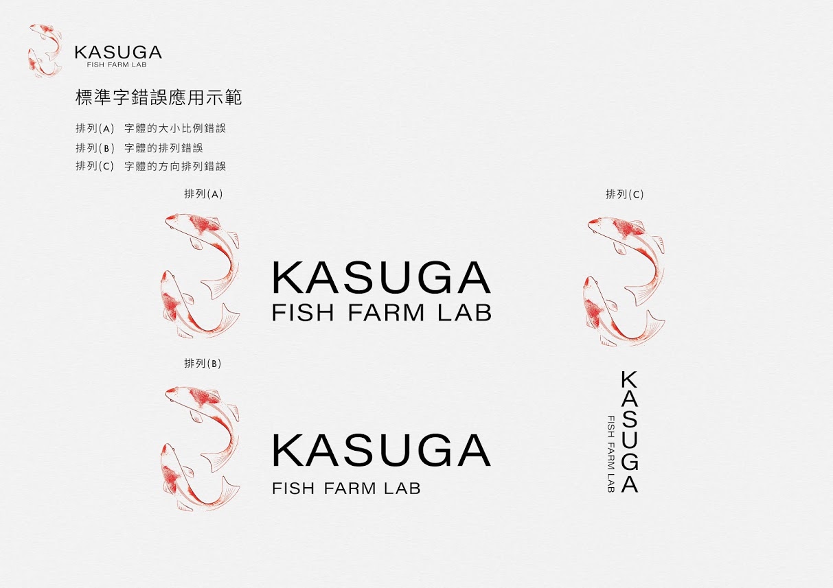 13.標準字錯誤應用示範