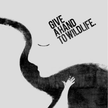 GIVE A HAND TO WILD LIFE