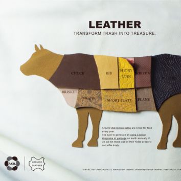 Leather Transform Trash Into Treasure