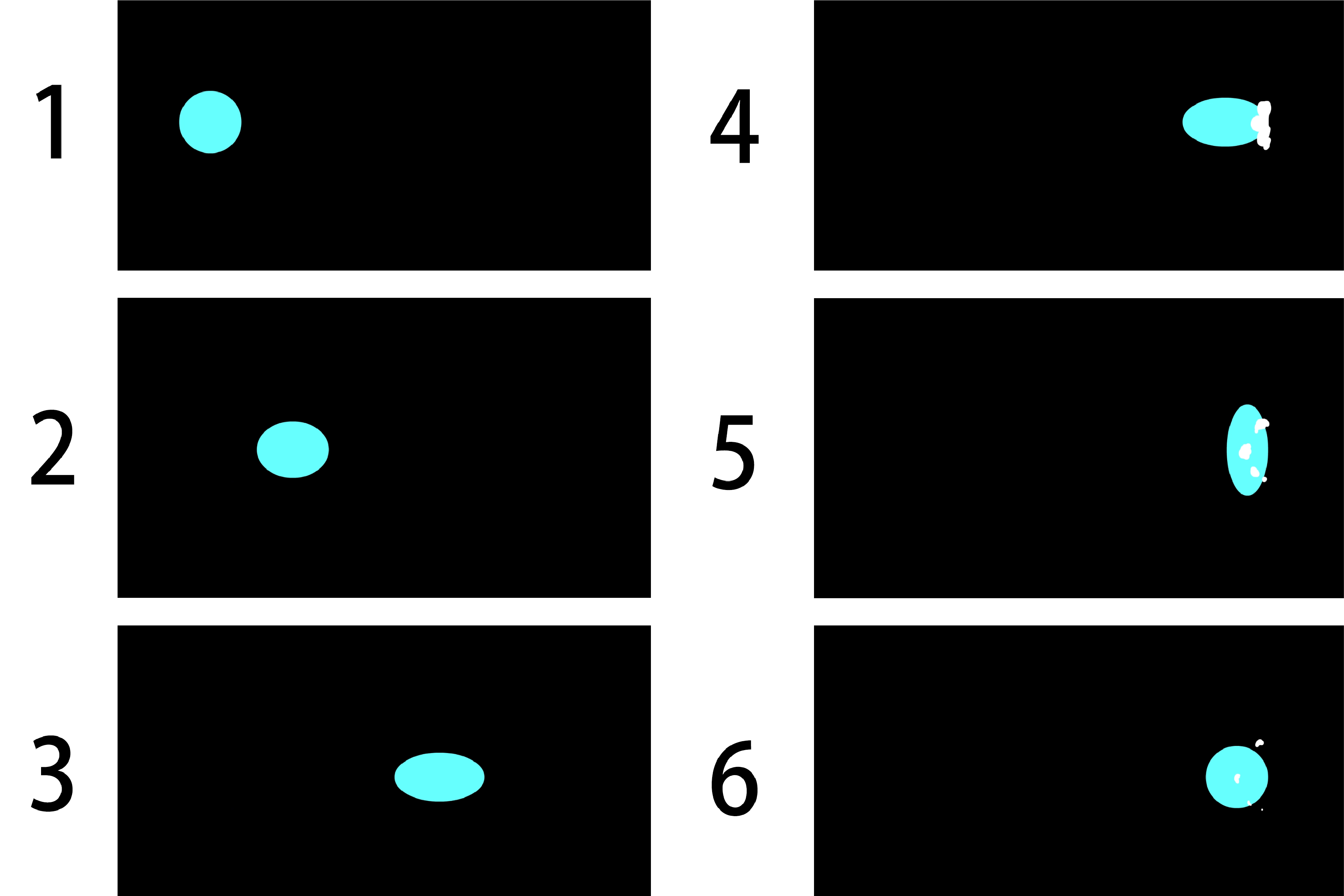 紮實的 2D 動畫基礎能力